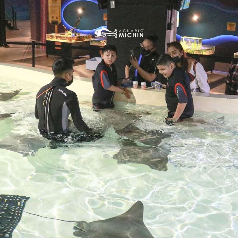 Puebla: Ticket to Aquarium Michin - Key points to know before you go