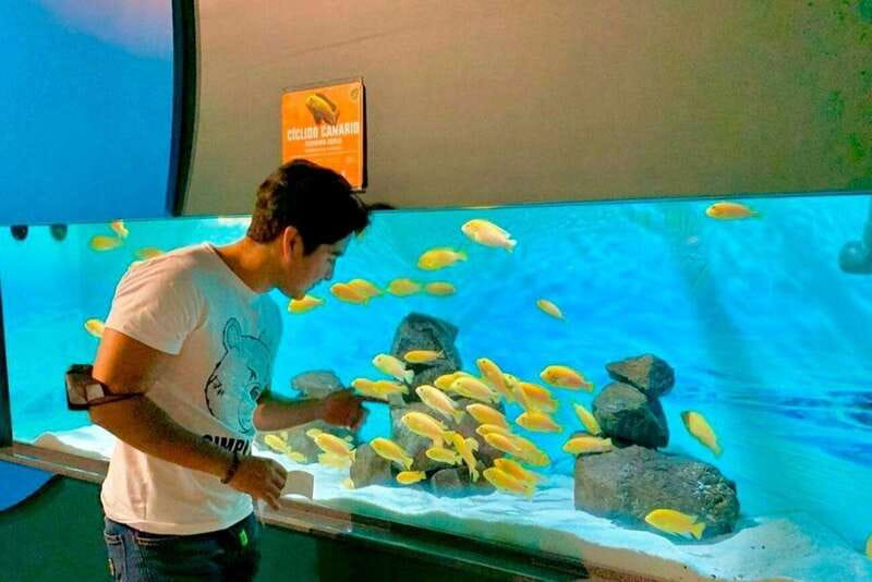 Puebla: Ticket to Aquarium Michin - Reef and Mangrove: two different water worlds
