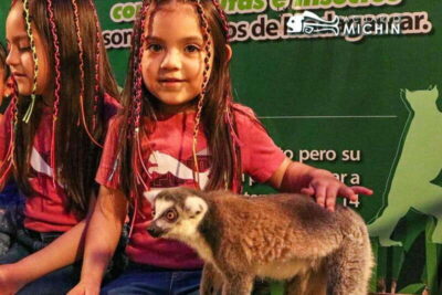 Puebla: Ticket to Aquarium Michin