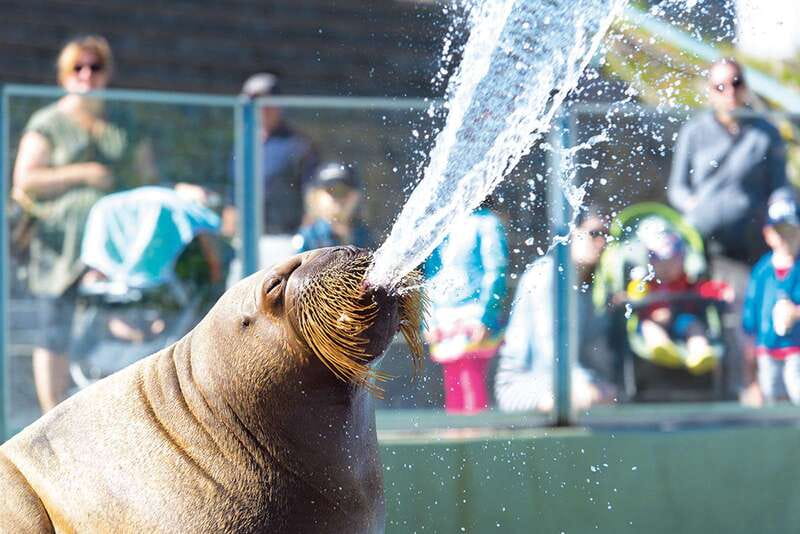 Quebec: Aquarium du Quebec Entry Ticket - Key points to know before you go