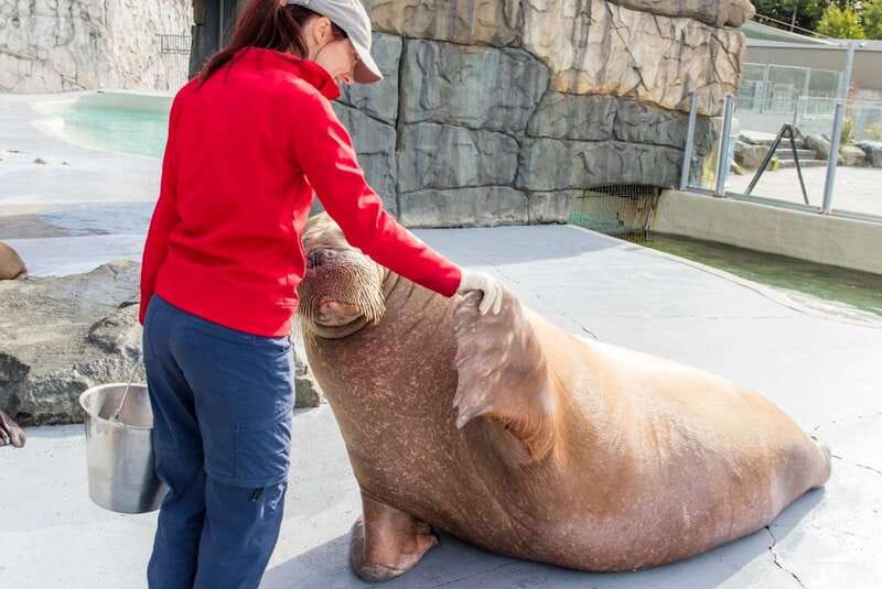 Quebec: Aquarium du Quebec Entry Ticket - Who will enjoy this aquarium most?