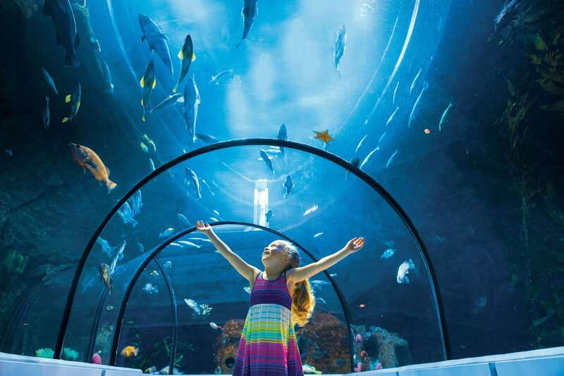 Quebec: Aquarium du Quebec Entry Ticket - What the $19 admission gets you