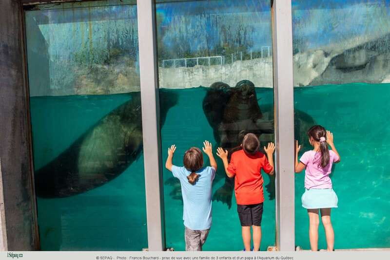 Quebec: Aquarium du Quebec Entry Ticket - Touching stingrays and meeting smaller animals