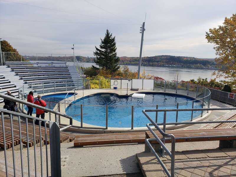 Quebec: Aquarium du Quebec Entry Ticket - How much time to allow