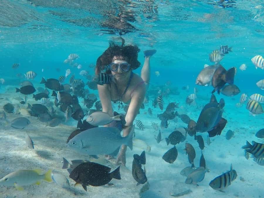 San Andres: Transfer by Boat + Natural Aquarium - Key points before you book