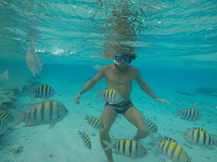 San Andres: Transfer by Boat + Natural Aquarium - Free time at San Andrés Aquarium