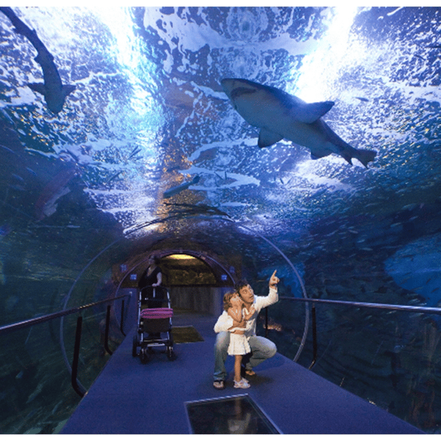 San Sebastian walking tour and aquarium - Key details before you book