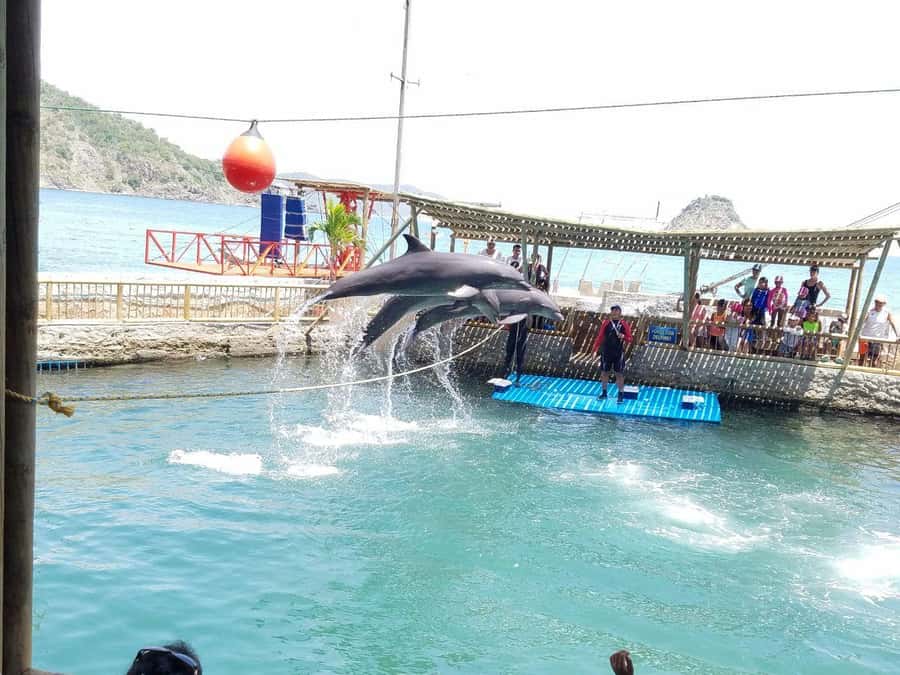 SANTAMARTA: TOUR Combo boat taxi, aquarium, lunch, and white sand beach - One hour at the Rodadero Sea Aquarium and Museum