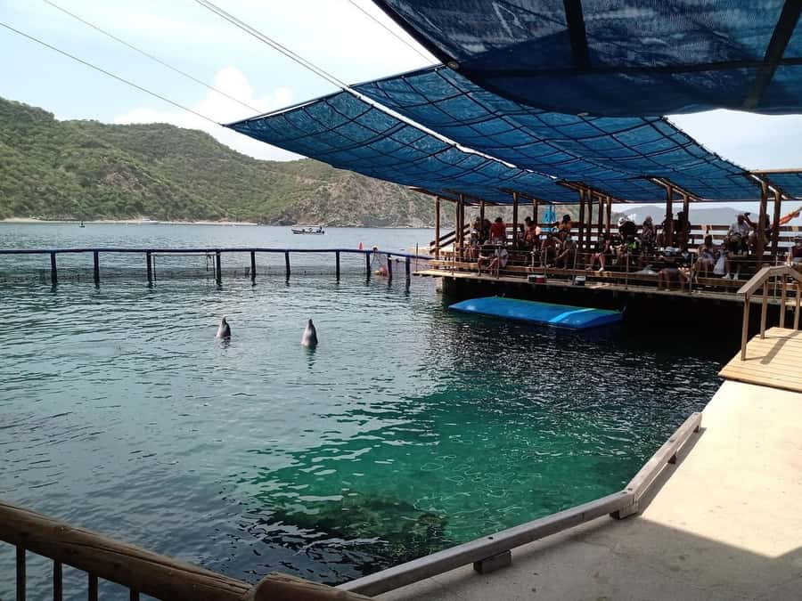 SANTAMARTA: TOUR Combo boat taxi, aquarium, lunch, and white sand beach - Booking, cancellation, and timing tips