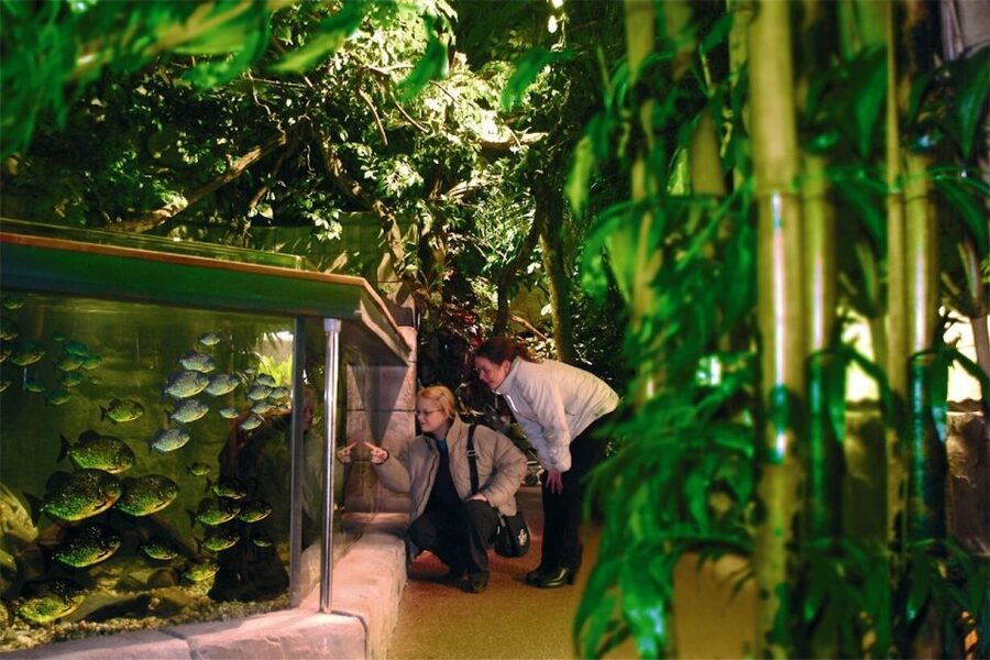 Scheveningen, The Hague: Sea Life Entry Ticket - From Dutch rivers to tropical waters