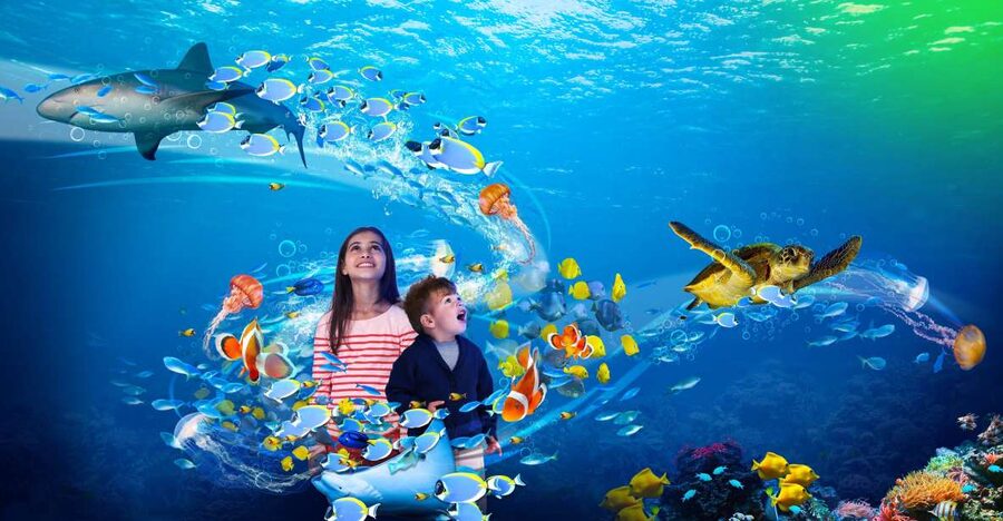 Scheveningen, The Hague: Sea Life Entry Ticket - What can make the experience less satisfying?