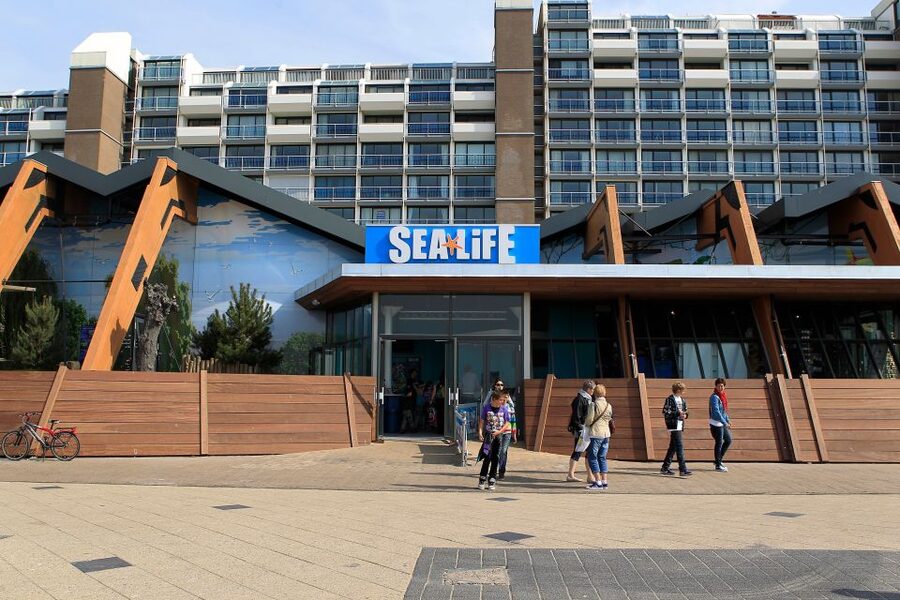 Scheveningen, The Hague: Sea Life Entry Ticket - Booking flexibility and practical value