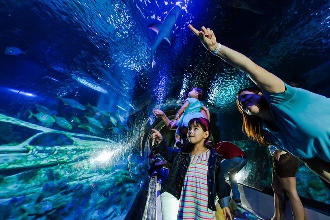 SEA LIFE Aquarium Arizona Admission Ticket - Key Points Before You Go
