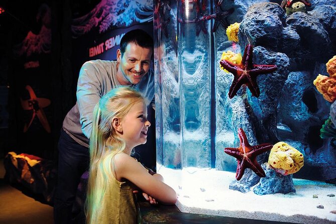 SEA LIFE Aquarium Arizona Admission Ticket - What Kind of Aquarium Is SEA LIFE Arizona?