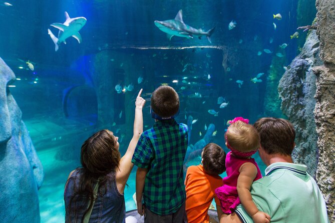 SEA LIFE Aquarium Arizona Admission Ticket - Freshwater Habitats, River Canyons, and Pacific Shores