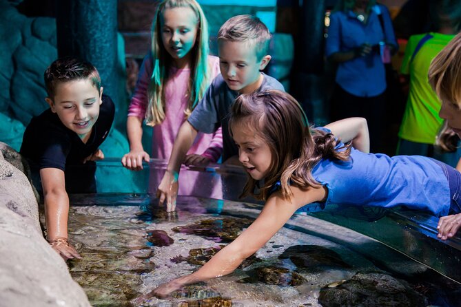 SEA LIFE Aquarium Arizona Admission Ticket - Sharks, Rays, Seahorses, and Turtles