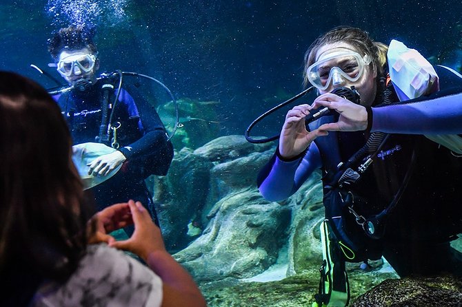 SEA LIFE Aquarium Arizona Admission Ticket - How Long You Need and Who Will Enjoy It