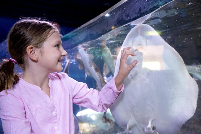SEA LIFE Aquarium Arizona Admission Ticket - Is the LEGOLAND Combo Worth It?