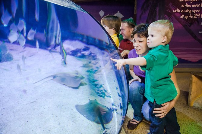 SEA LIFE Aquarium Arizona Admission Ticket - Starting at Arizona Mills