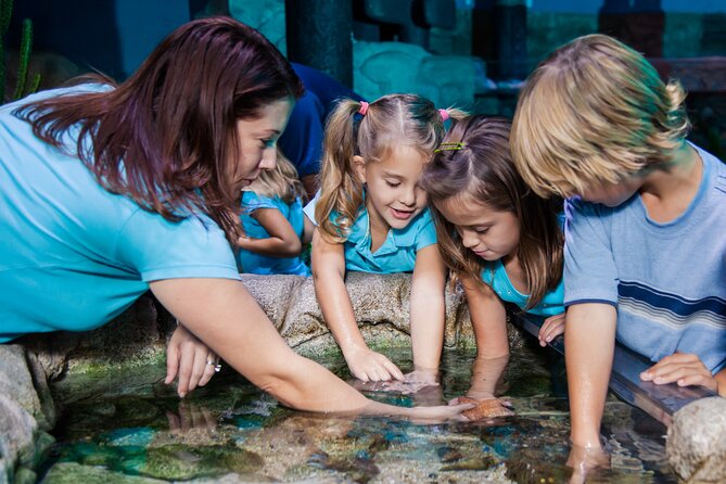 SEA LIFE Aquarium Grapevine Admission Ticket - What the SEA LIFE Grapevine experience is really like
