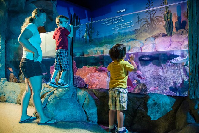 SEA LIFE Aquarium Grapevine Admission Ticket - The rock pool gives children something to do