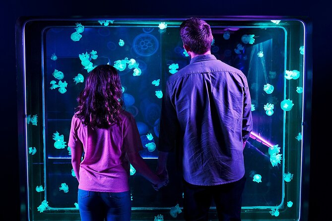 SEA LIFE Aquarium Grapevine Admission Ticket - A family attraction inside a very useful mall