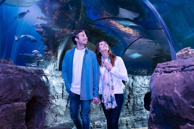 SEA LIFE Aquarium Grapevine Admission Ticket - Is the optional LEGOLAND combination worthwhile?