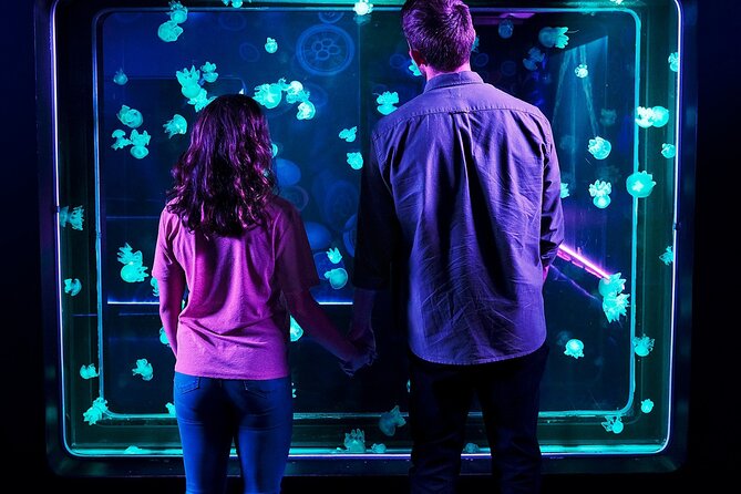 SEA LIFE Aquarium Minnesota Admission Ticket at Mall of America - Starting at Mall of America