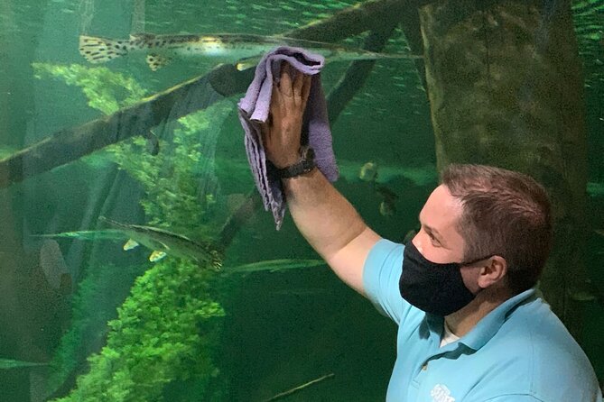 SEA LIFE Aquarium Minnesota Admission Ticket at Mall of America - Claws, Crabs, and Hands-On Learning
