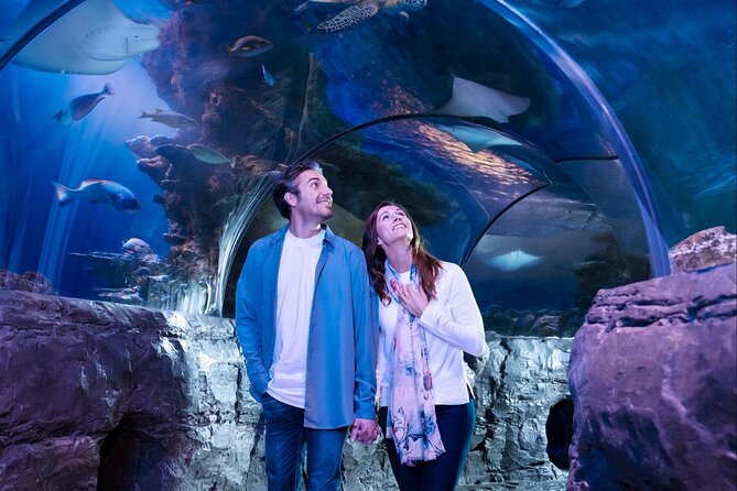 SEA LIFE Aquarium Minnesota Admission Ticket at Mall of America - The Glass Tunnel With Sharks and Rays