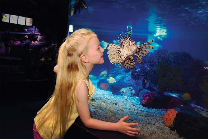 SEA LIFE Aquarium San Antonio Admission Ticket - Key Points to Know Before You Go