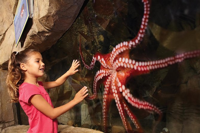SEA LIFE Aquarium San Antonio Admission Ticket - Twenty Exhibits With Different Marine Habitats