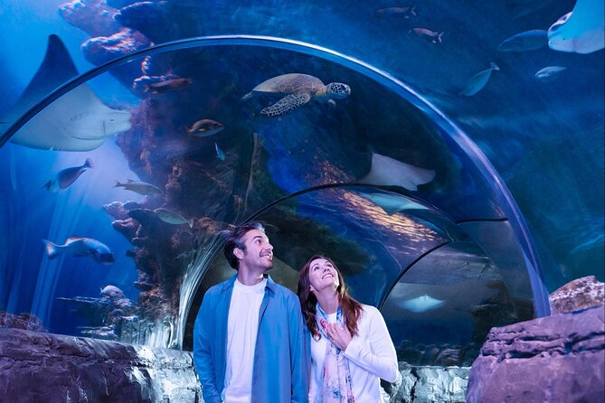 SEA LIFE Aquarium San Antonio Admission Ticket - How Long Should You Allow?