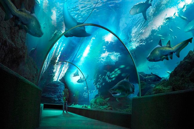 Sea Life Bangkok Ocean World Tickets - What the $44 ticket actually gives you