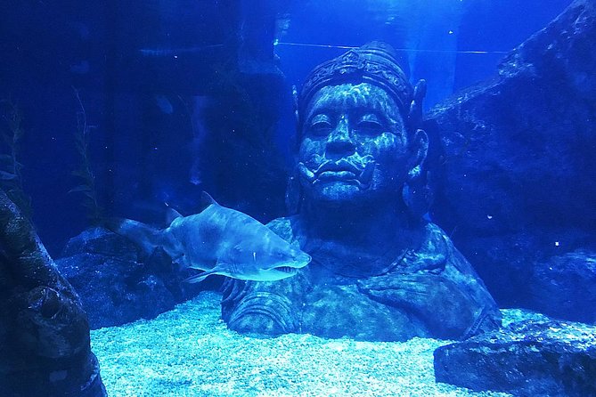Sea Life Bangkok Ocean World Tickets - Why Siam Paragon makes this easy