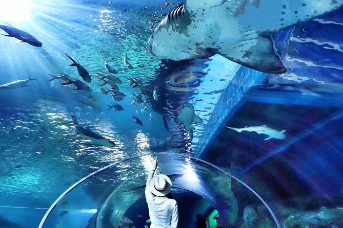 Sea Life Bangkok Ocean World Tickets - Using the Madame Tussauds bonus
