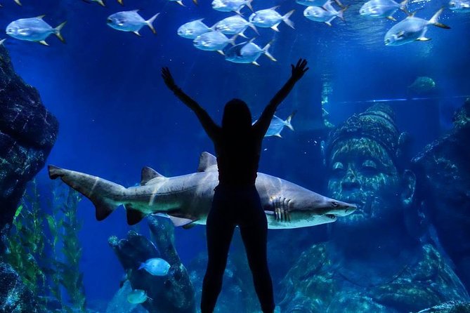 Sea Life Bangkok Ocean World Tickets - What to know about timing and crowds