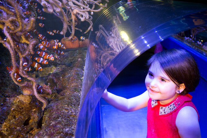 SEA LIFE Birmingham Admission Ticket - What you actually get for $26.05