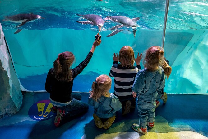 SEA LIFE Birmingham Admission Ticket - The atmosphere: good animals, older presentation