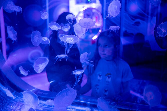 SEA LIFE Birmingham Admission Ticket - Is there enough for children and families?