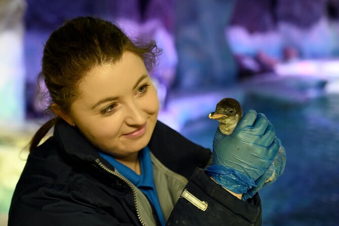 SEA LIFE Birmingham Admission Ticket - Who should book, and who should think twice?