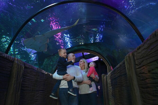 SEA LIFE Blackpool Admission Ticket - Key points at a glance