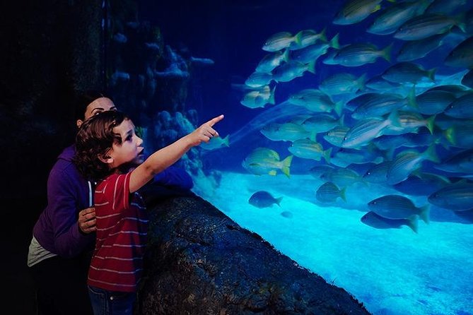 SEA LIFE Blackpool Admission Ticket - North West shorelines and the Quayside display