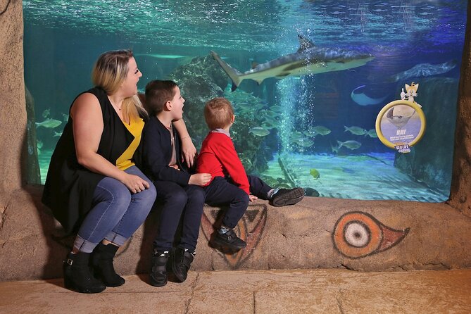 SEA LIFE Blackpool Admission Ticket - Jellyfish, eels, and the submarine setting