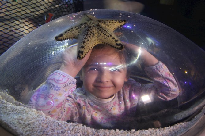 SEA LIFE Blackpool Admission Ticket - Sea Stars and the ocean walk-through