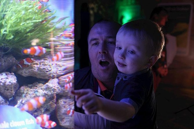 SEA LIFE Blackpool Admission Ticket - Start at Rock Pools for hands-on contact