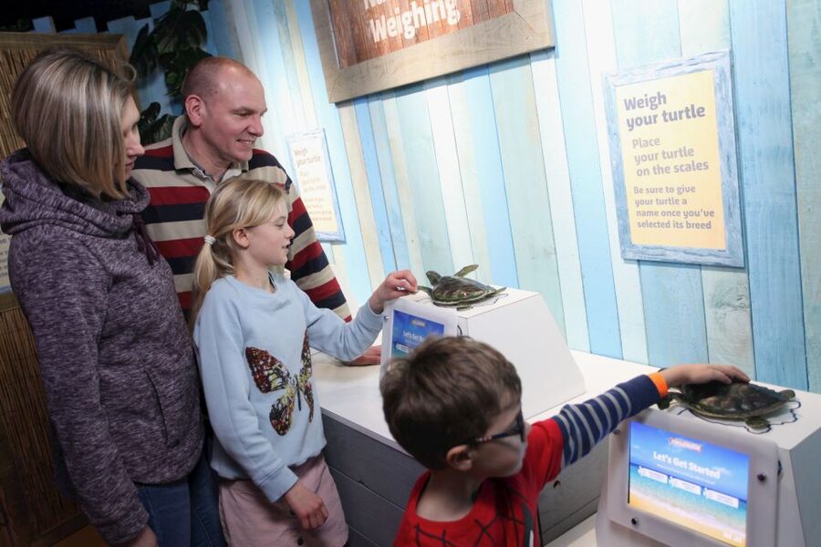 SEA LIFE Blackpool Entrance Ticket - Turtle Rescue gives children a clear purpose