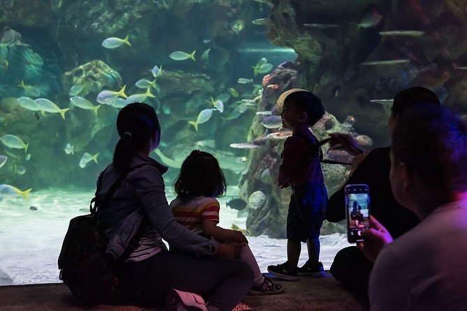 Sea Life Brighton Admission Ticket - Seahorses, starfish, and the smaller displays