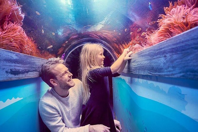 Sea Life Brighton Admission Ticket - Rainforest Adventure and the changing atmosphere