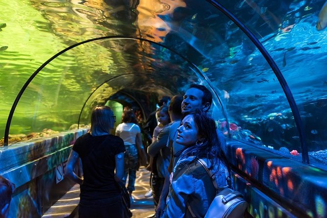 Sea Life Brighton Admission Ticket - Daily talks and feeding times